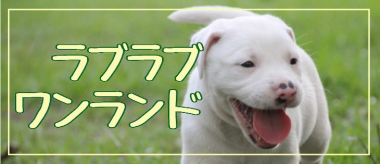 ラブラブワンランド